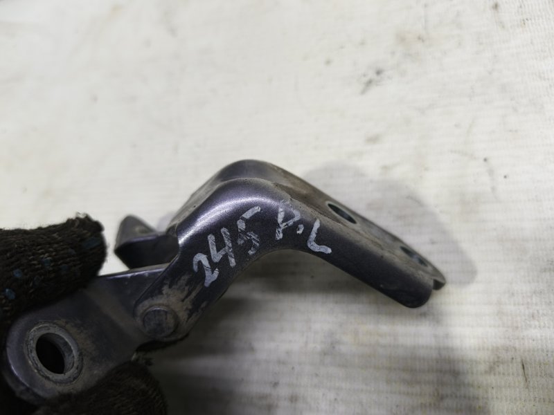 Петля двери Kia Cerato 2010 TD