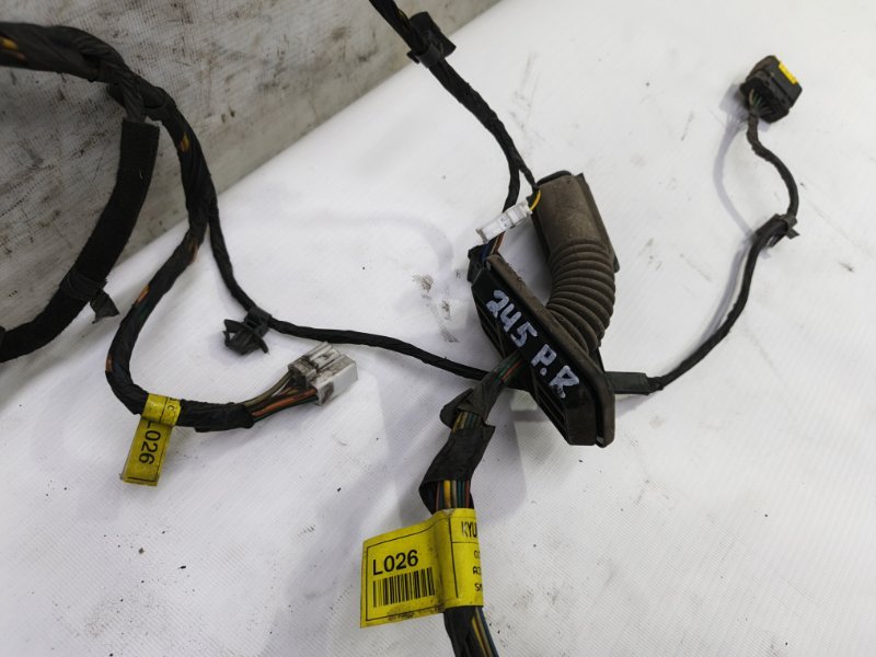 Проводка двери Kia Cerato 2010 TD