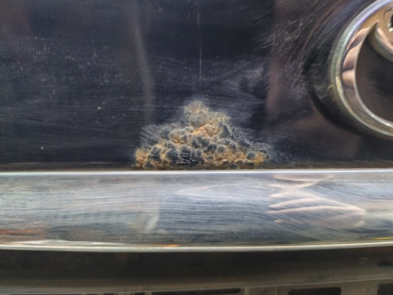 Крышка багажника Toyota Camry 2002 XV30