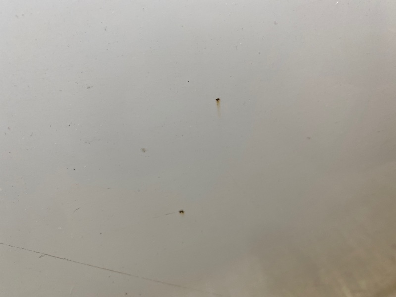 Дверь Kia Optima 2019 JF