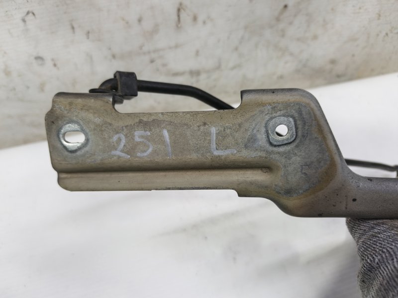 Петля капота Citroen C4 2008