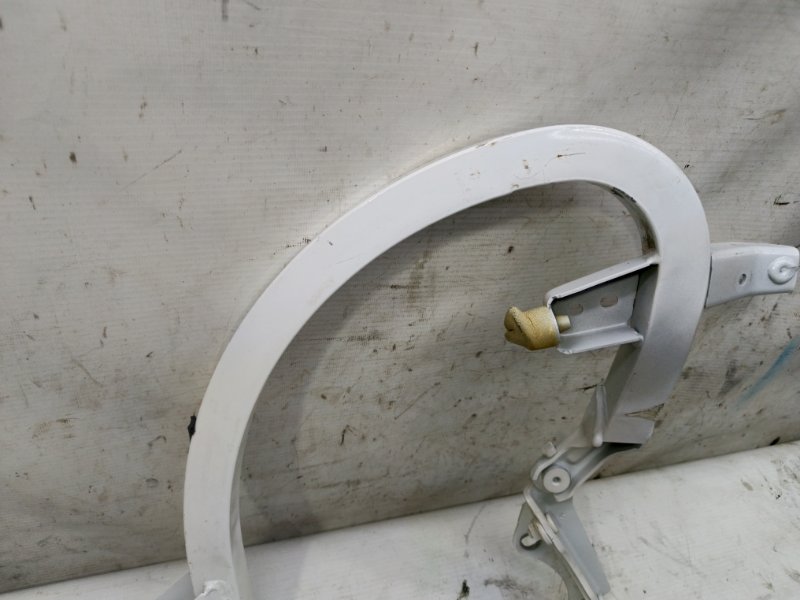 Петля багажника Audi A6 2012