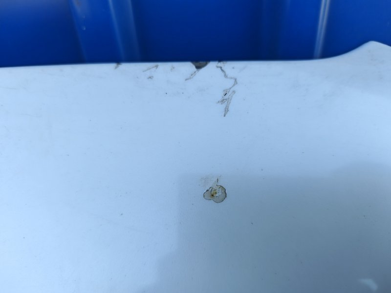 Капот Audi A6 2012