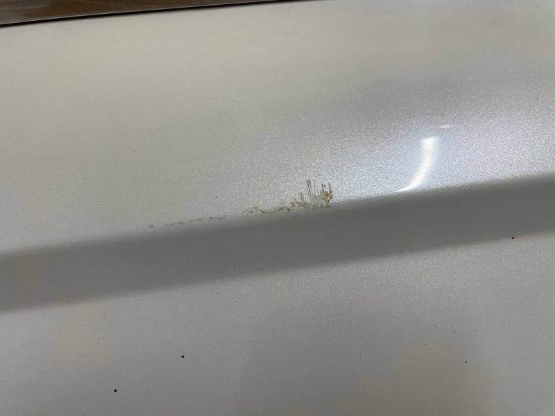 Дверь Audi A6 2012