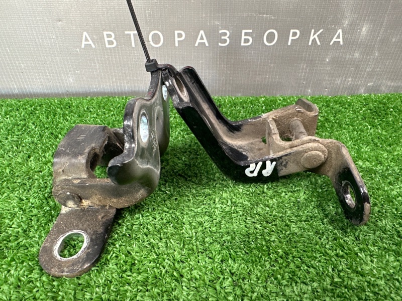 Петли двери Kia Rio 3 2013 HB