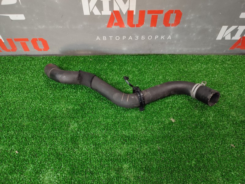 Патрубок радиатора Ford Focus 3 2013