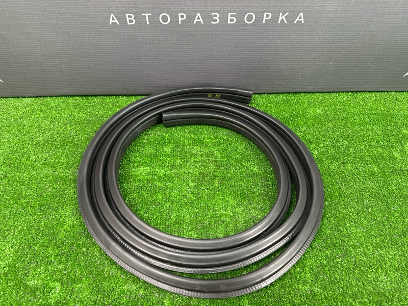 Уплотнитель проема двери Infiniti QX50 J55 2019