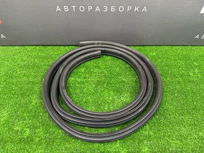 Уплотнитель проема двери Infiniti QX50 J55 2019