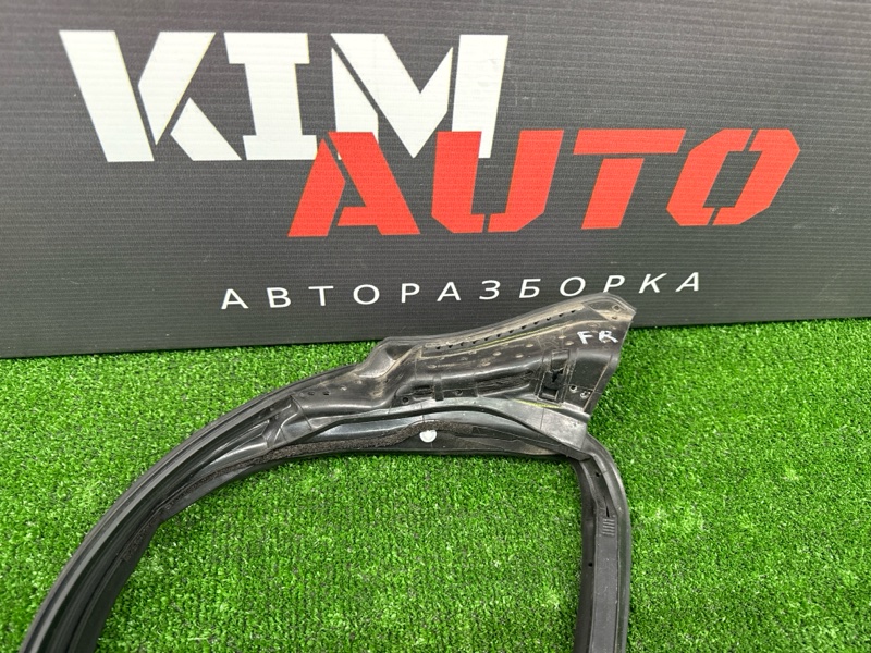 Уплотнитель двери Infiniti QX50 J55 2019