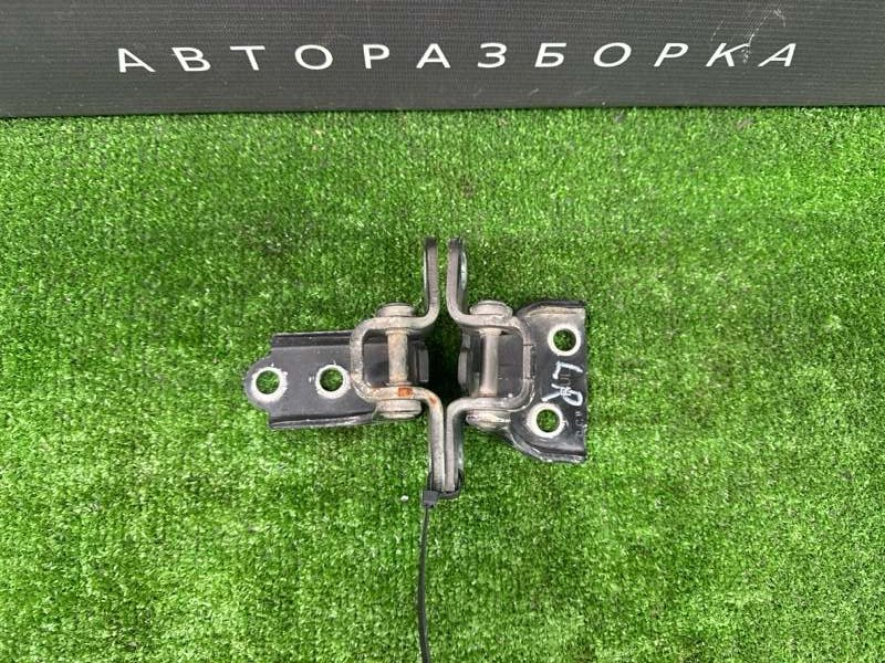 Петли двери Hyundai Tucson 2007 JM