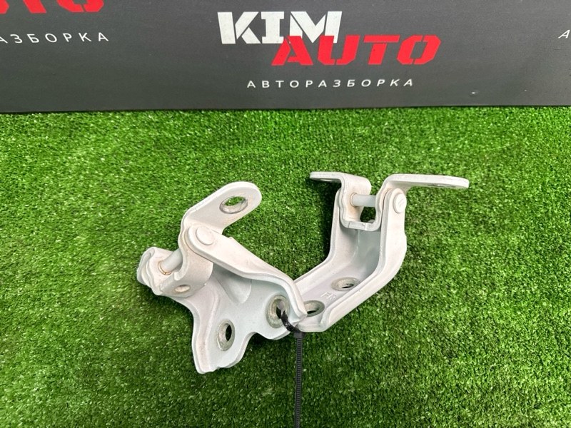 Петли двери Kia Cerato 4 2019 BD