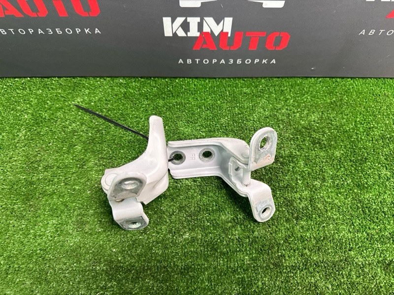 Петли двери Kia Cerato 4 2019 BD