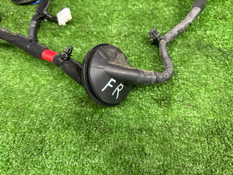 Проводка двери Kia Cerato 4 2019 BD