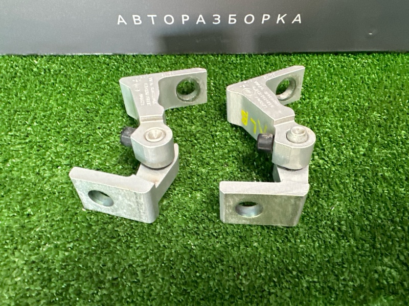 Петли двери Skoda Rapid 2016
