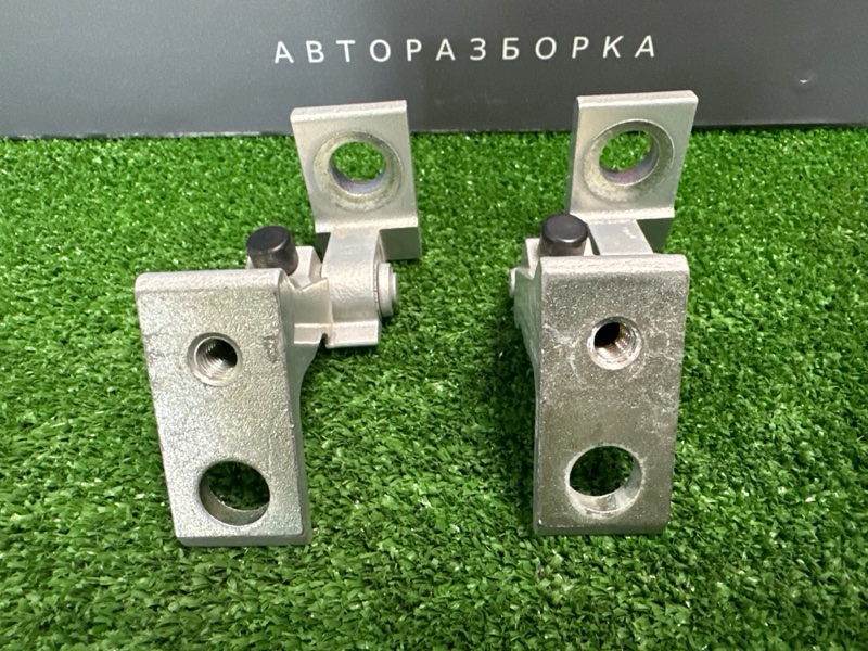 Петли двери Skoda Rapid 2016