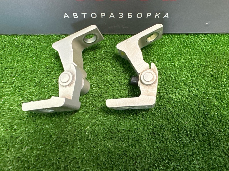 Петли двери Skoda Rapid 2016