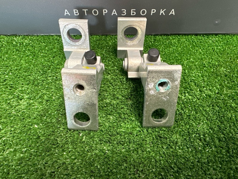 Петли двери Skoda Rapid 2016