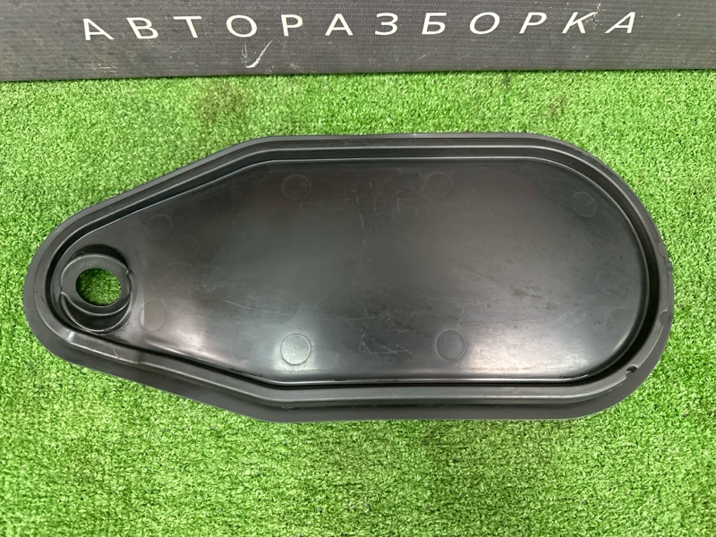 Заглушка двери Skoda Rapid 2016