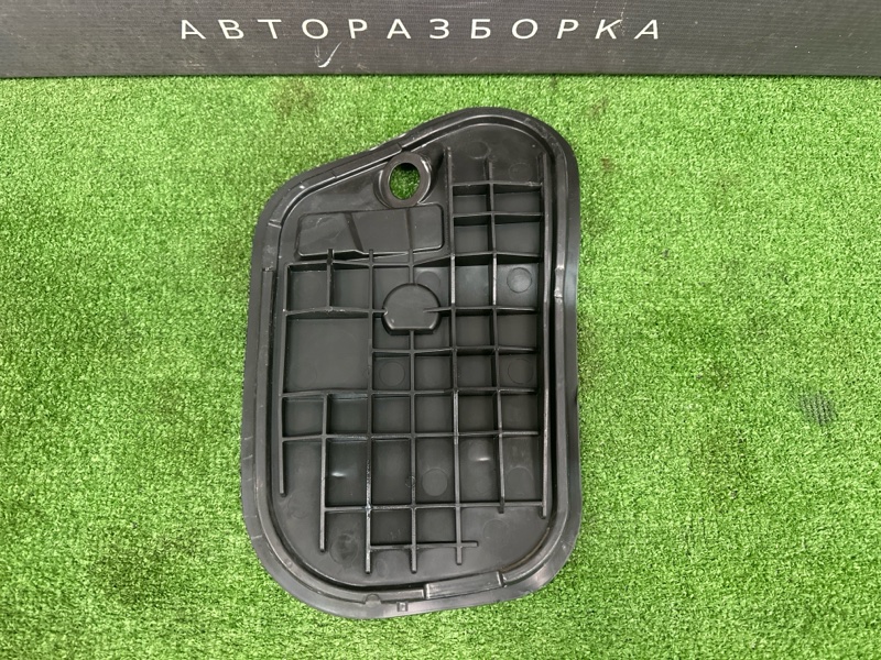 Заглушка двери Skoda Rapid 2016