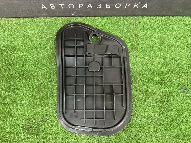 Заглушка двери Skoda Rapid 2016