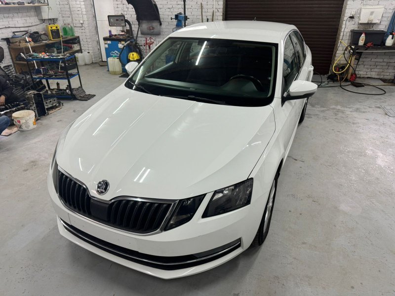 Уплотнитель жабо Skoda Octavia 2018 A7