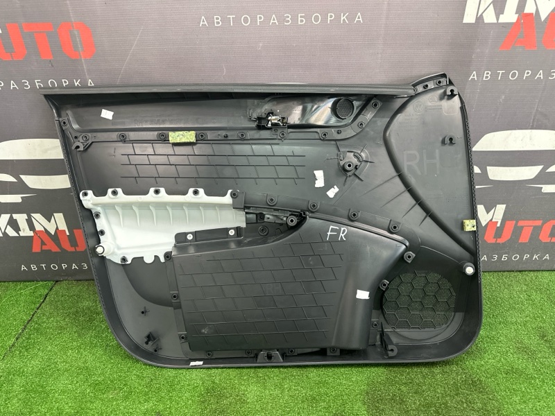 Обшивка двери Skoda Rapid 2016
