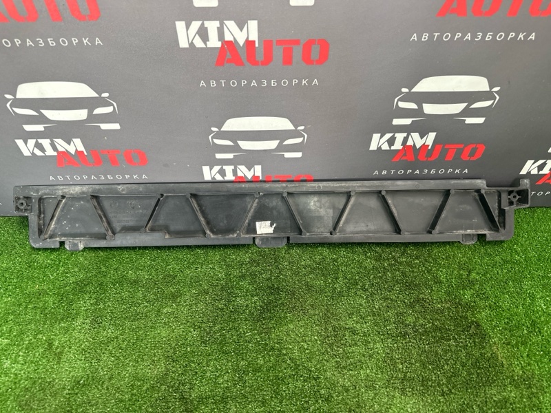 Накладка панели радиатора Skoda Rapid 2016
