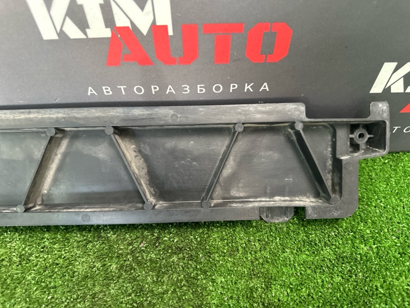 Накладка панели радиатора Skoda Rapid 2016