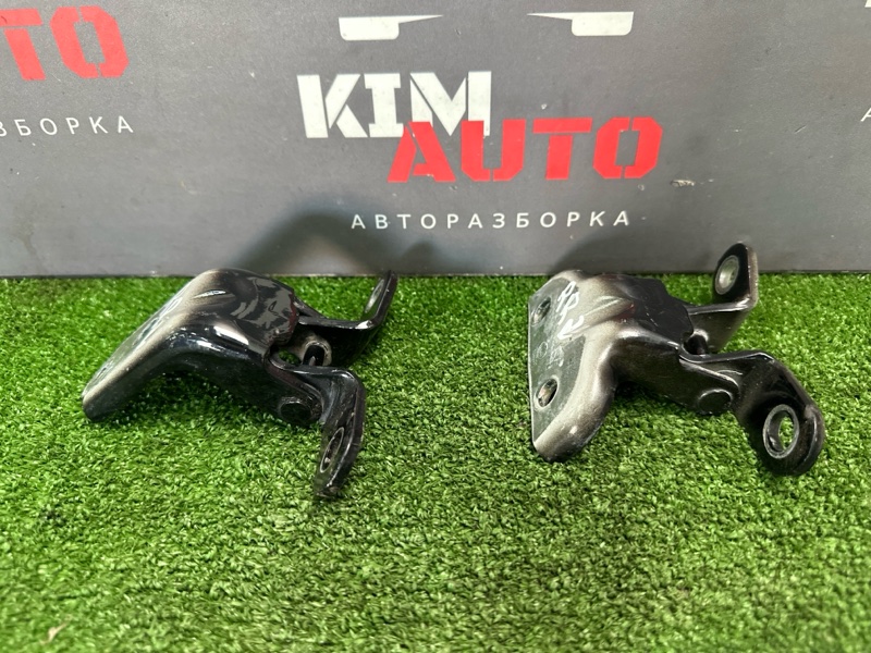 Петли двери Hyundai Creta GS 2018