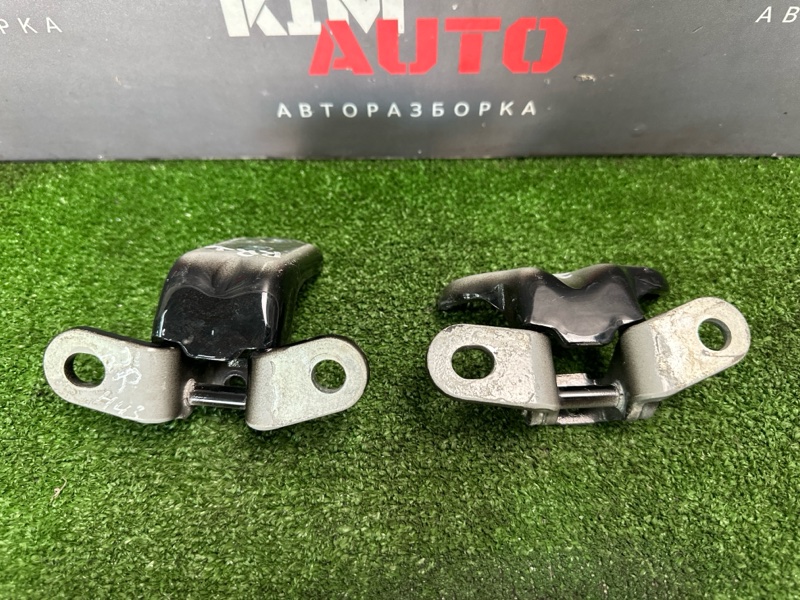 Петли двери Hyundai Creta GS 2018