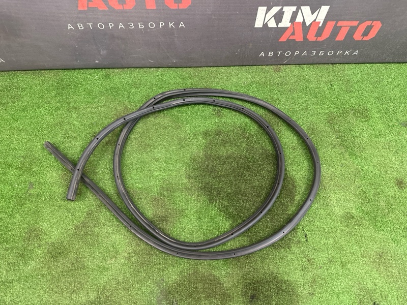 Уплотнитель двери Ford Focus 2 2007 HB