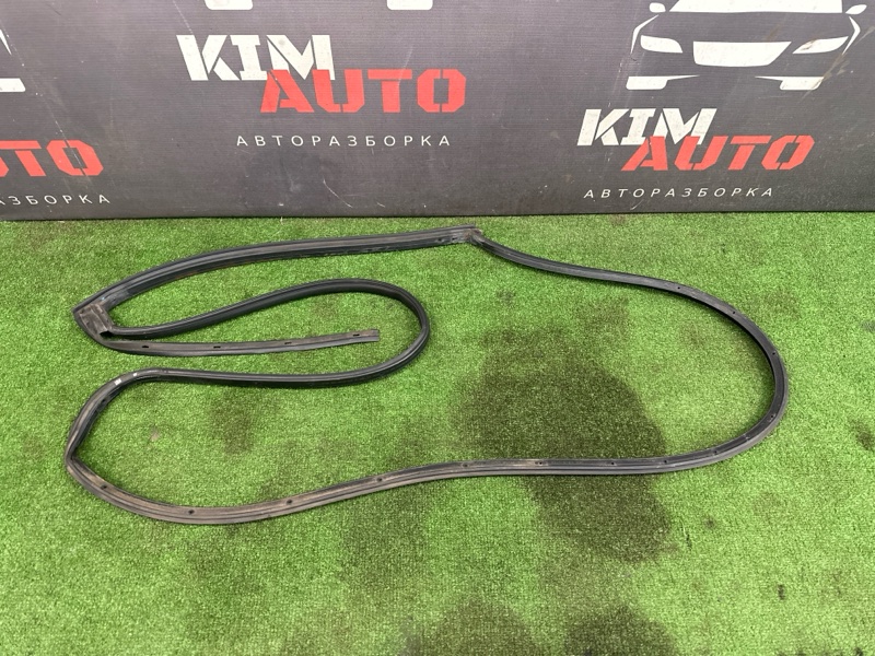 Уплотнитель двери Kia Ceed 1 2010 ED