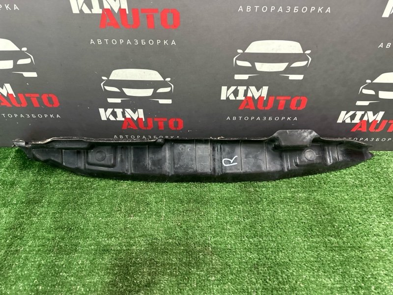 Уплотнитель проема двери Kia Cerato 2 TD 2011