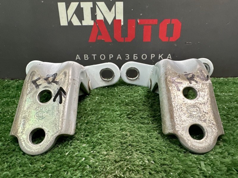 Петли двери Kia Ceed SW 2010 ED
