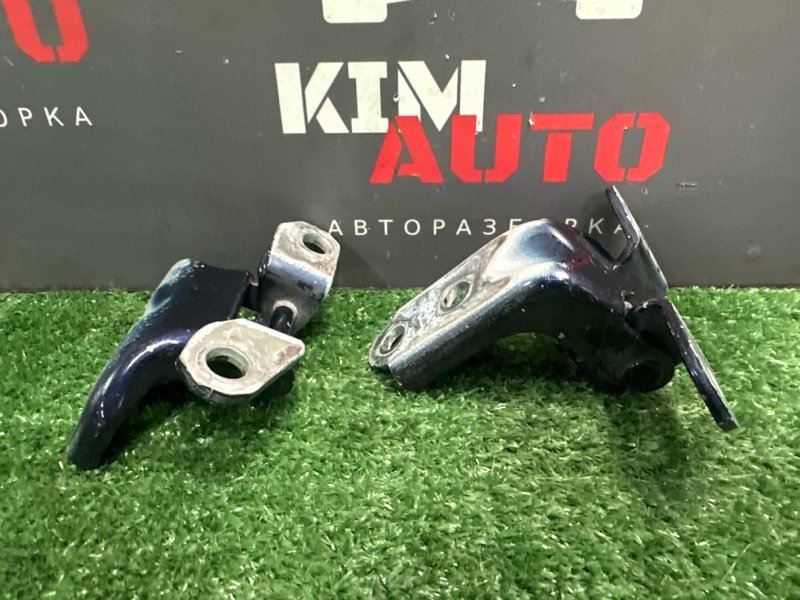 Петли двери Hyundai Elantra 4 HD 06-11 2007