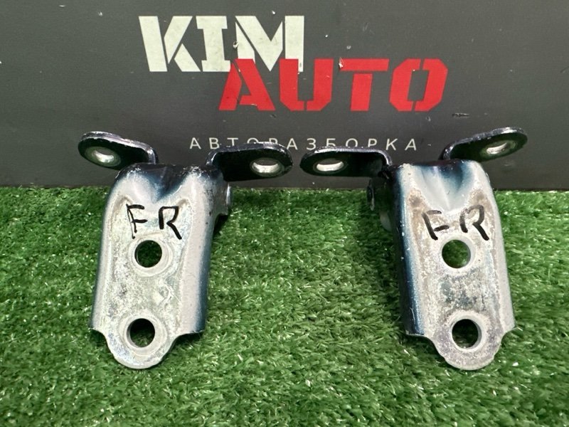 Петли двери Hyundai Elantra 4 HD 06-11 2007