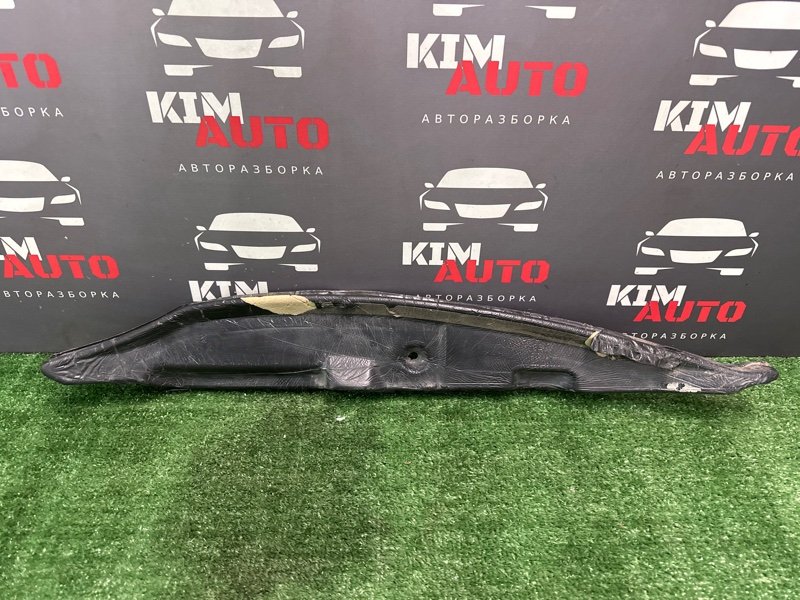 Пыльник крыла Hyundai Elantra 4 HD 06-11 2007