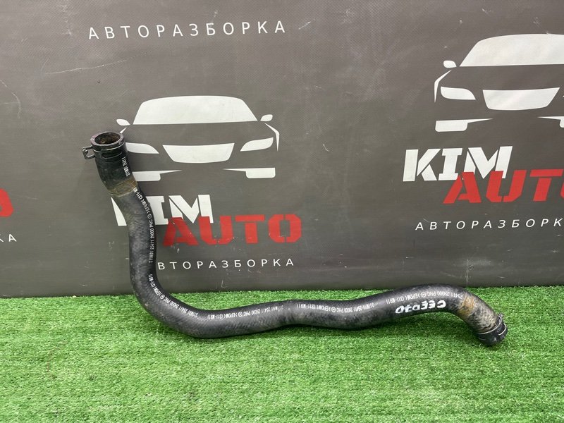 Патрубок радиатора верхний Kia Ceed 1 HB 2011 ED