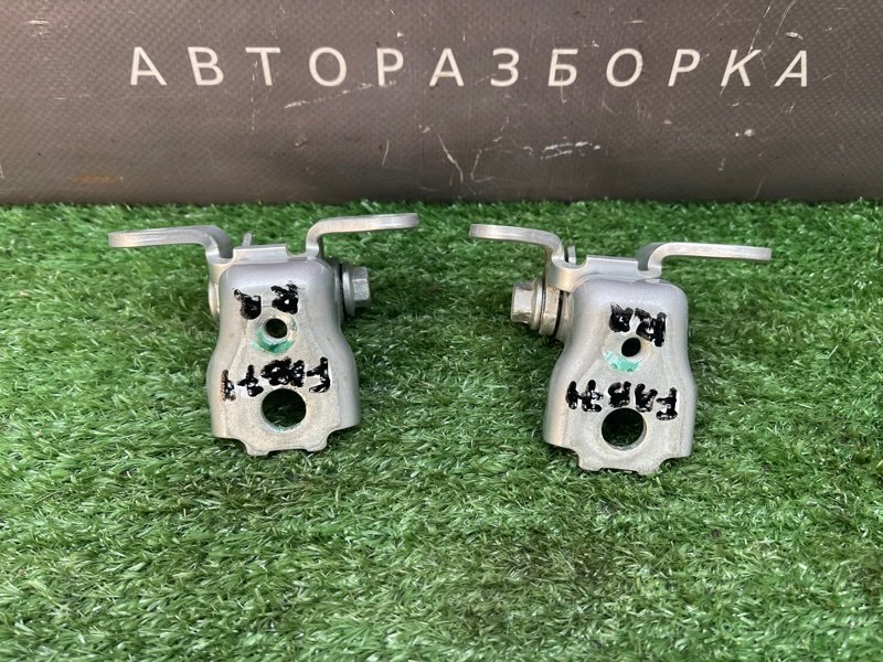 Петли двери Skoda Fabia 2 2011