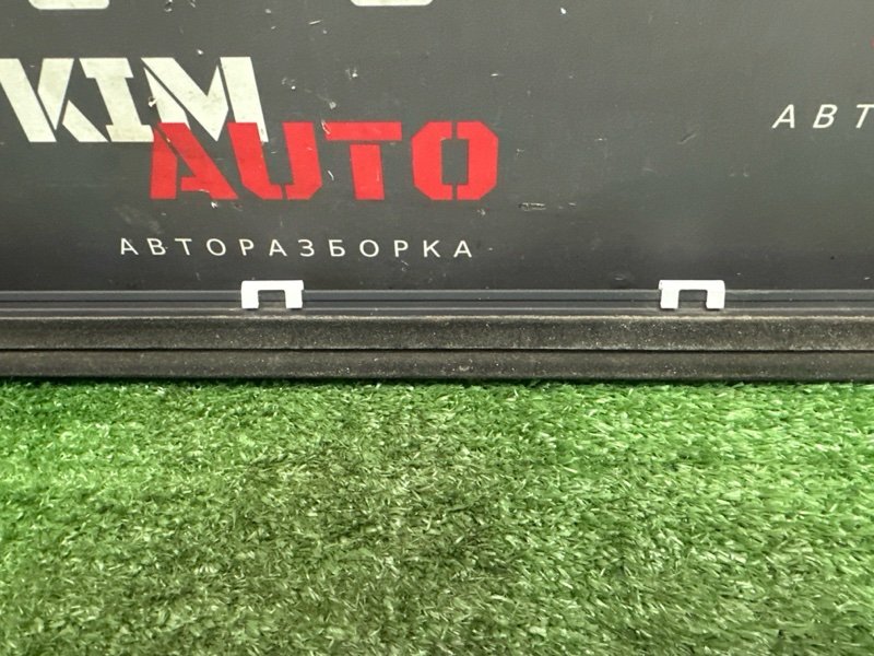 Уплотнитель стекла наружный (Бархотка) Kia Rio X 2021