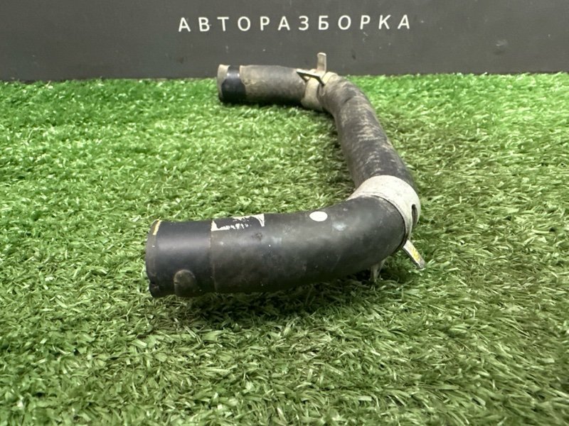 Патрубок охлаждения Kia Rio X 2021