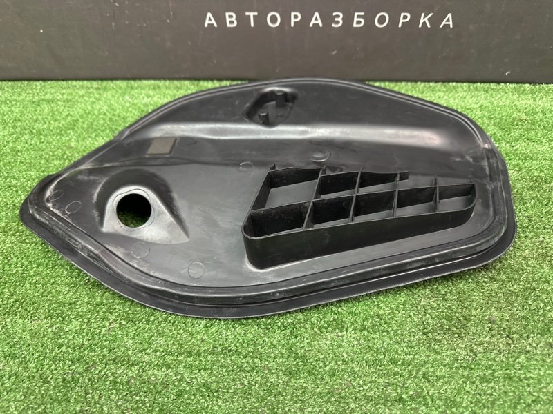 Заглушка двери Volkswagen Polo 2017