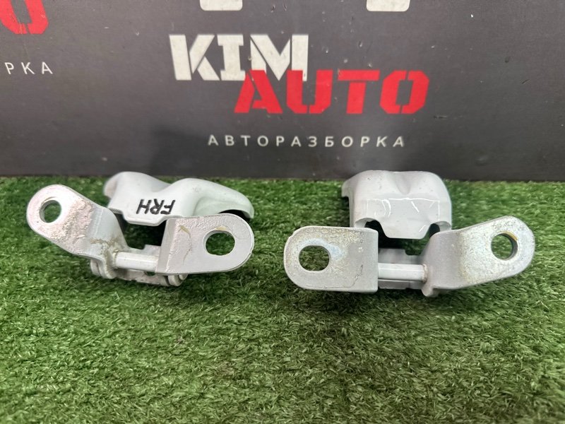 Петли двери Kia Rio 4 2019 FB