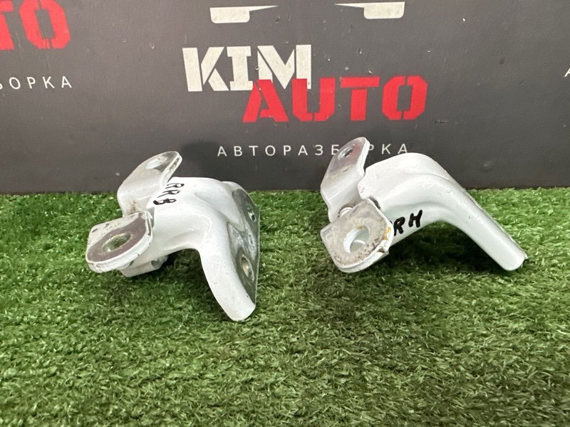 Петли двери Kia Rio 4 2019 FB