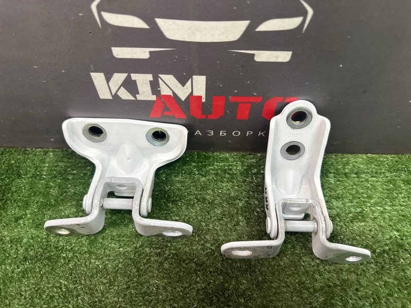 Петли двери Kia Rio 4 2019 FB