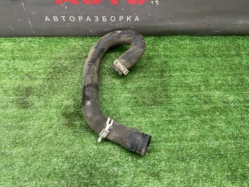 Патрубок радиатора Ford Focus 2 2009 CB