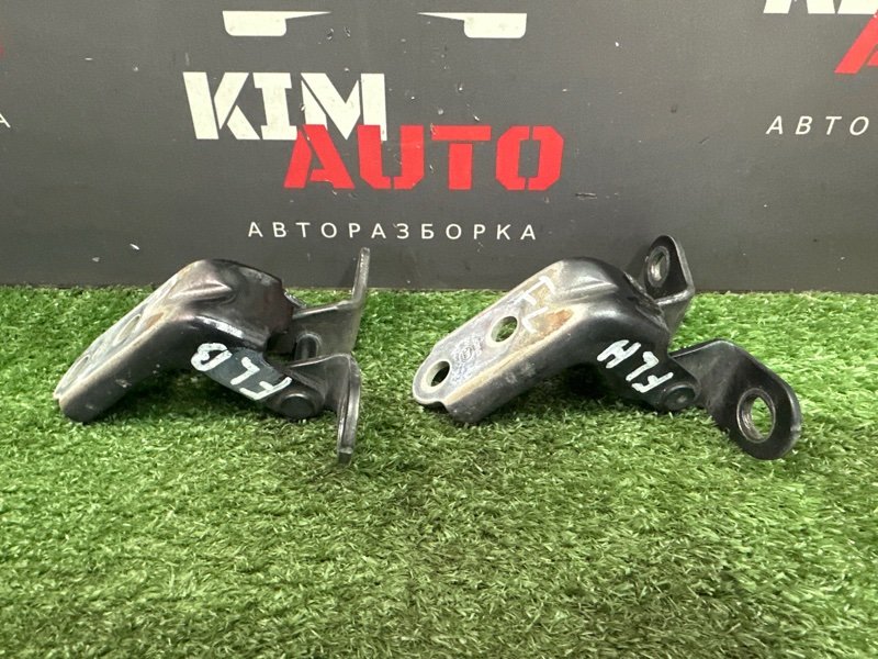 Петли двери Kia Sportage 3 2012 SL