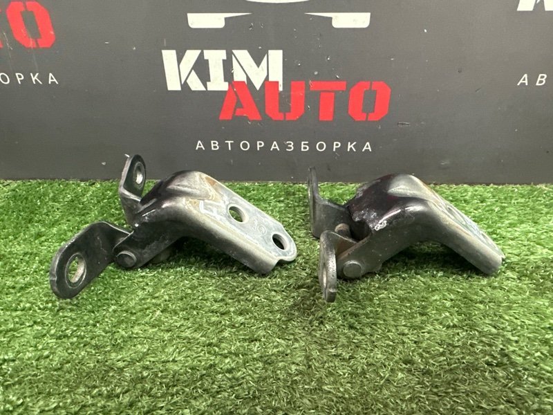 Петли двери Kia Sportage 3 2012 SL