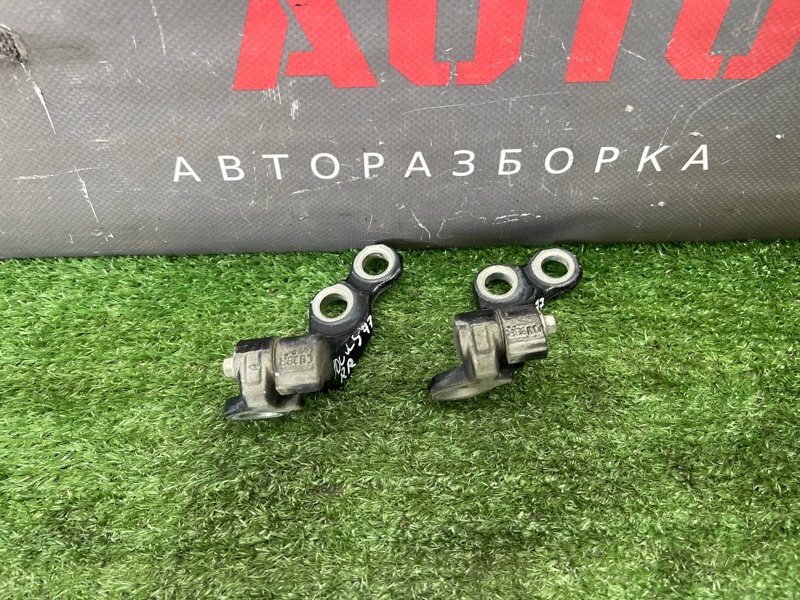 Петли двери Ford Focus 2 2009 CB