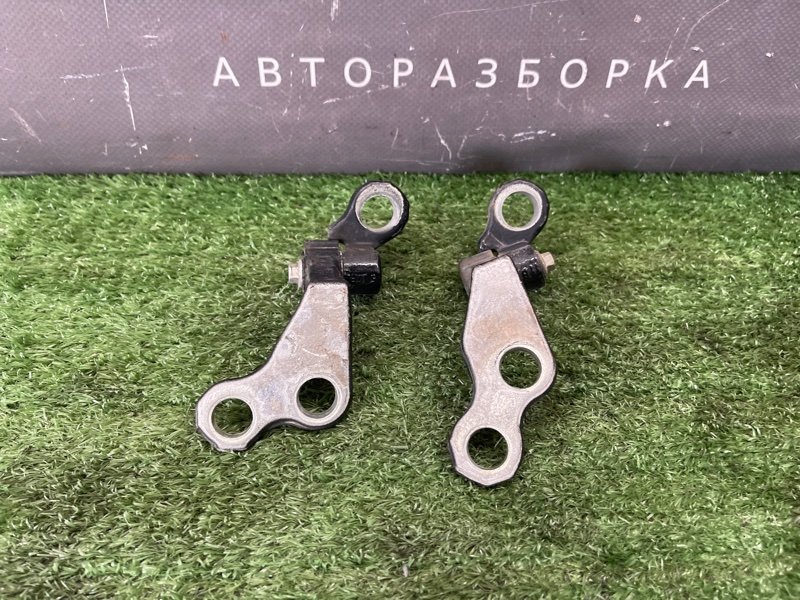 Петли двери Ford Focus 2 2009 CB